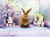 【堺店】7月の撮影スペース『虹色ミルキーウェイ』