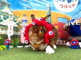 【堺店】9月の撮影スペース『I LOVE OSAKA ～Osaka Lover～』