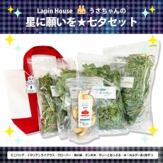 画像1: 【7/6 14:00から販売開始】LapinHouse 星に願いを☆七夕セット (1)