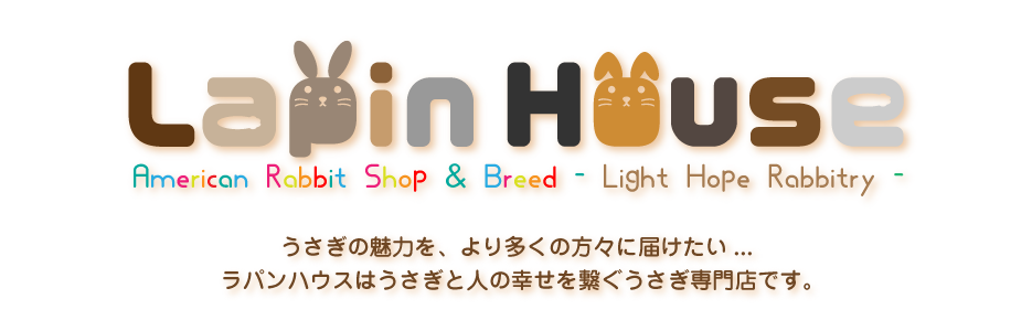 ラパンハウスのご紹介 うさぎ専門店 Lapin House