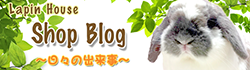 ショップブログ