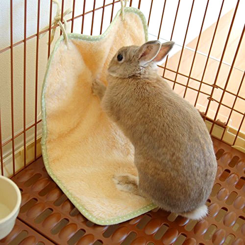 ドギーマン ウサギのマットでほりほり うさぎ専門店 Lapin House ドギーマン ウサギのマットでほりほり うさぎ専門店 Lapin House